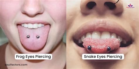 snake eye tongue piercing risks|Snake Eyes Piercing: Danger, Cost, Healing, Pain, Jewelry,。